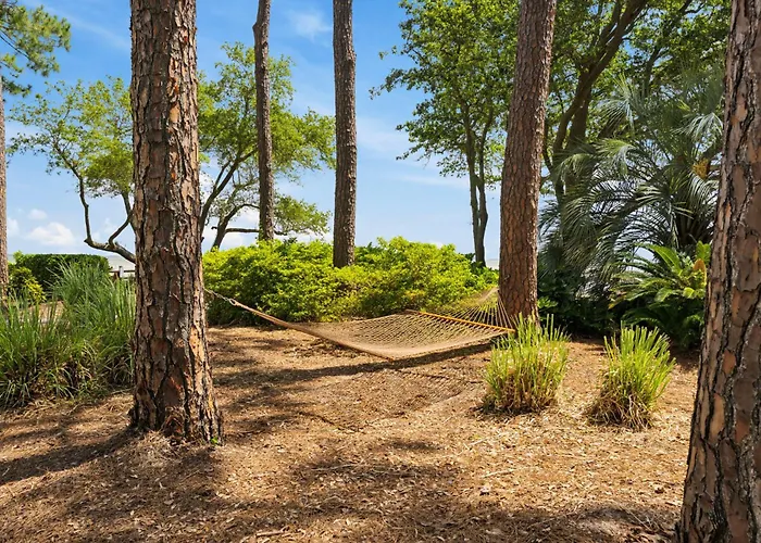 Peaceful Treetop Condo - 2Br/2Ba