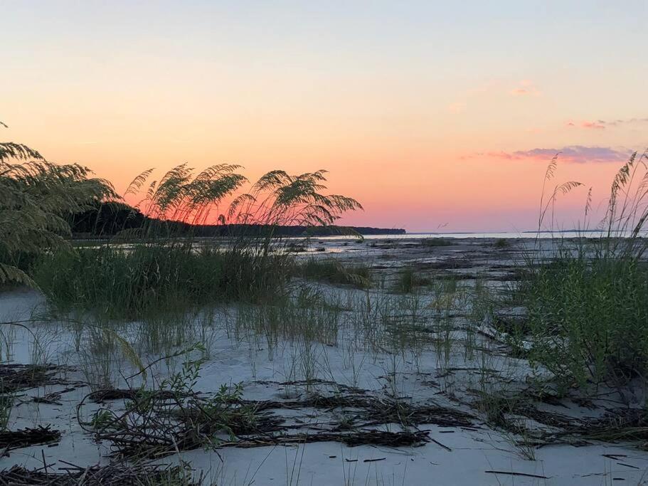 Peaceful Treetop - 2br/2ba Apartment Hilton Head Island